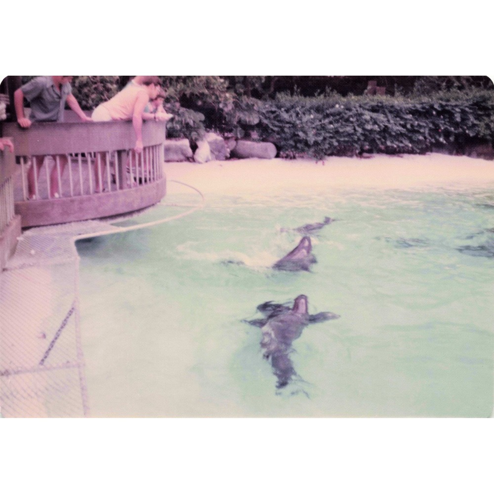 Vintage 1970s Sea Life Park Hawaii Dolphin Show Tall Ship Photo Lot of 17 - Picture 3 of 16